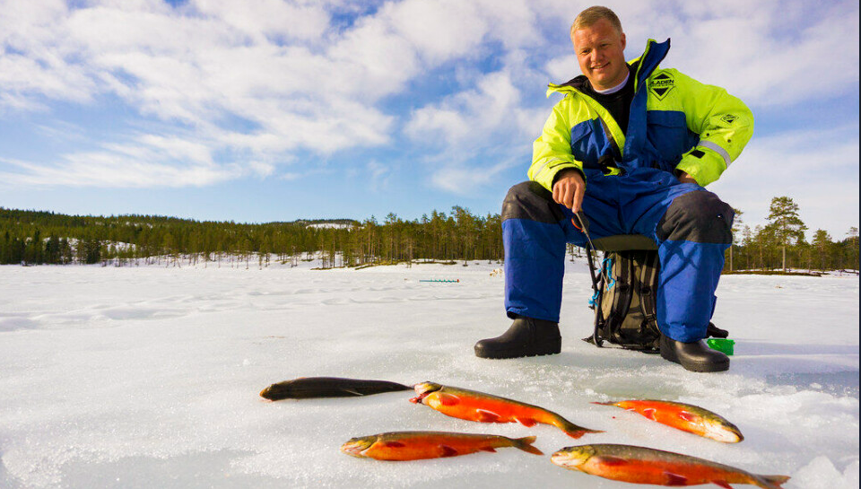 Búsqueda colectiva: ¿Un equipo encuentra peces más rápido?
